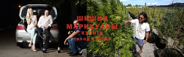 бошки Горнозаводск
