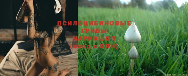 мескалин Горно-Алтайск