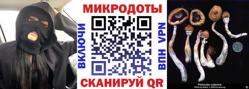 Галлюциногенные грибы Cubensis  Купить закладки  Кириши 